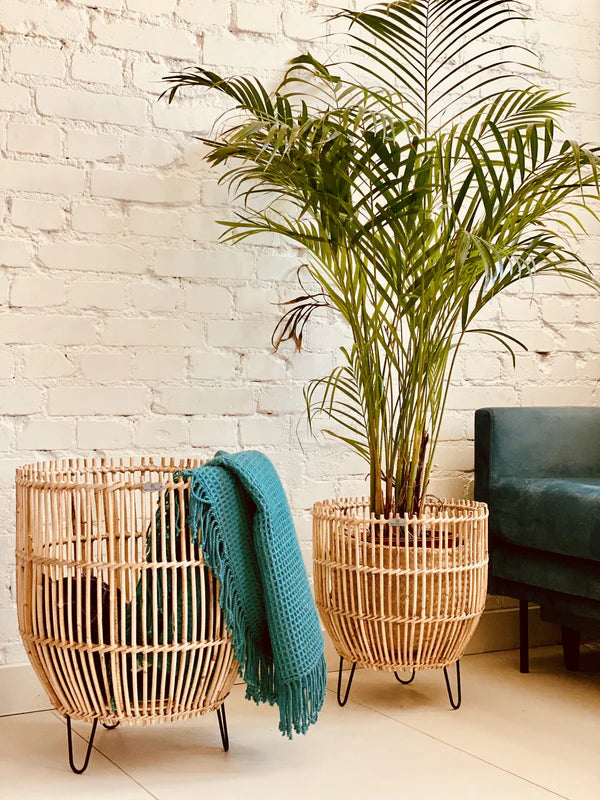 e2443a3feef70422be9728a8ab19cc67