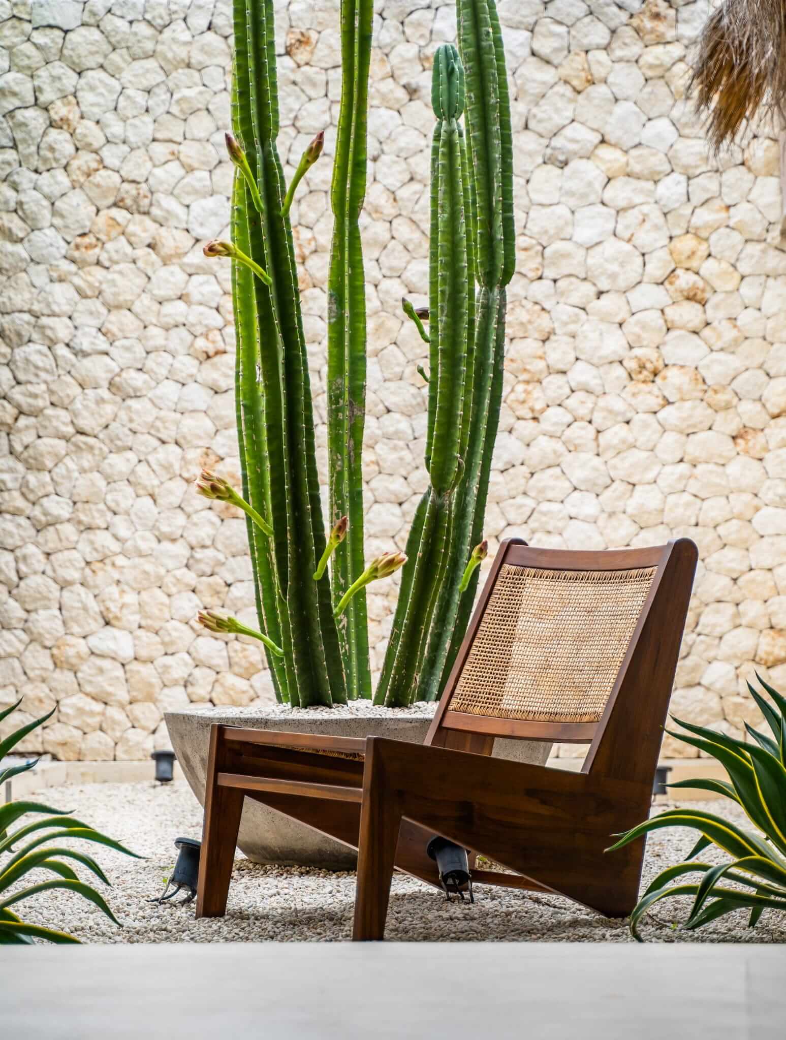 Elisha Teakholz-Stuhl