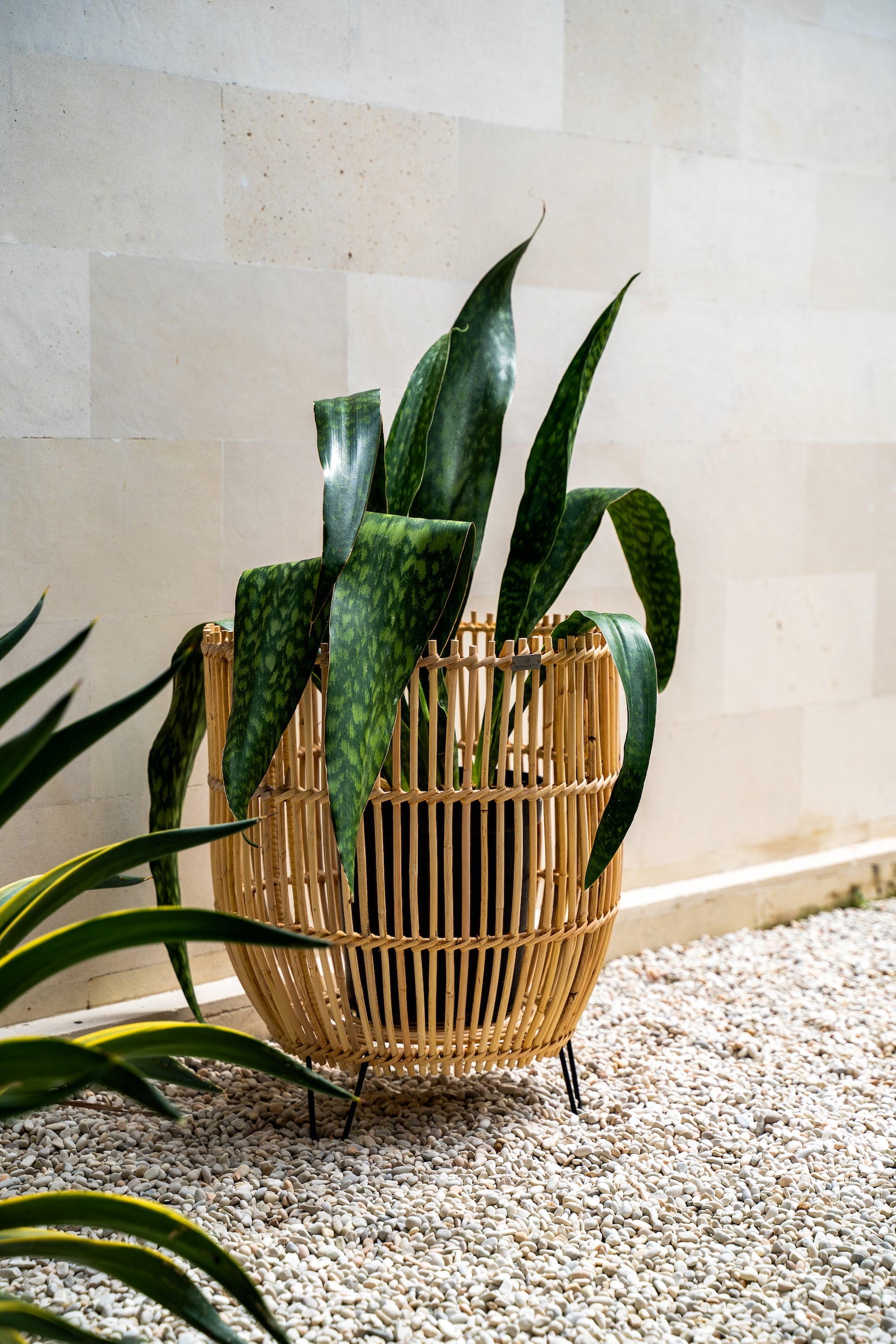 Flower Stand/Pot - Rattan Pot - Boho Style Decor - Monnarita - handmade decor